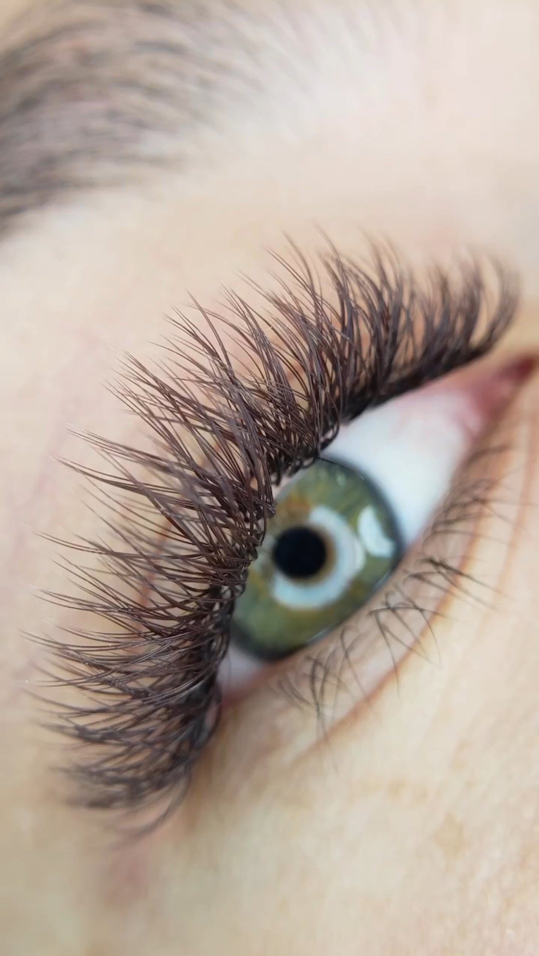 YY Lashes In Dark Brown.
