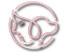 Klc Beauty Logo