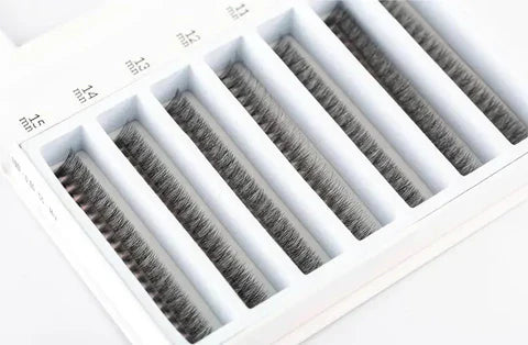 The Ultimate Guide to Promade Fans Lashes: Everything You Need to Know