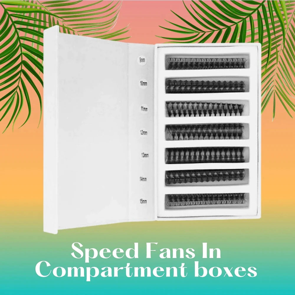 Speed Fans In Compartment  boxes | Black 4D