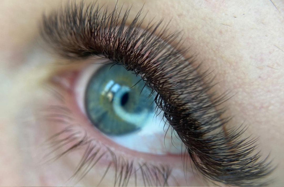 Dark Brown Promades Fans On Strips, Mixed Lengths, 5D | 0.07.